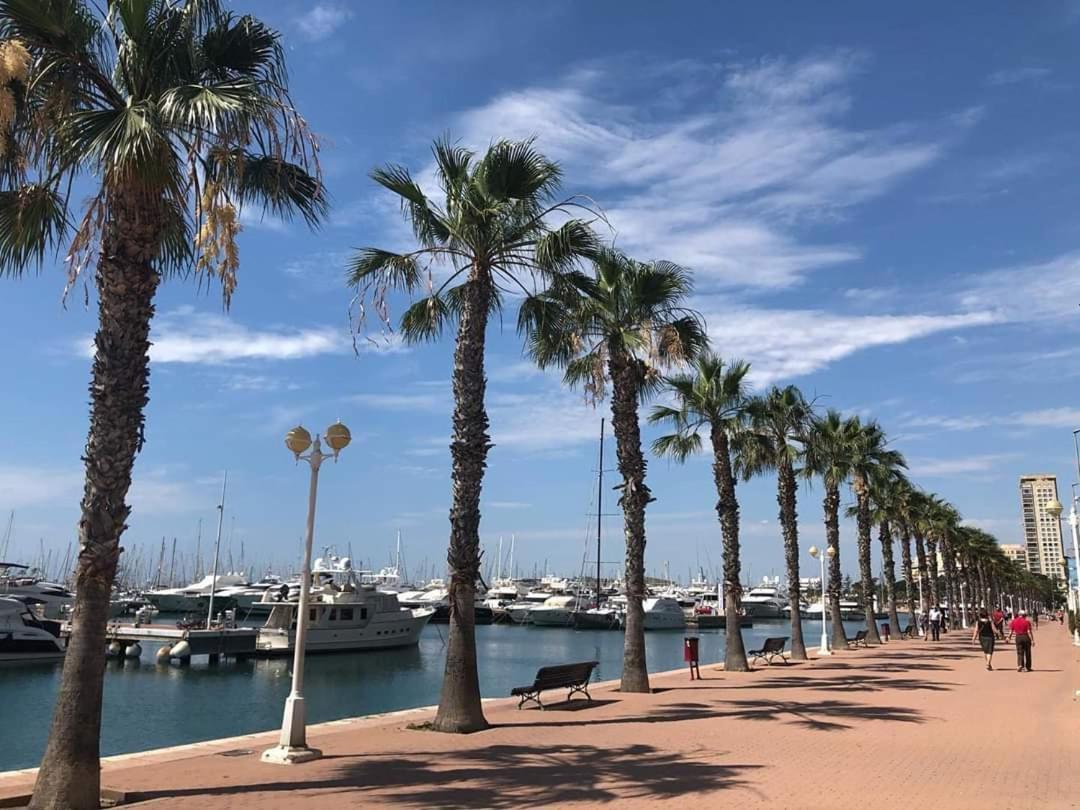 Estudio De Lujo Casaturis En El Corazon De Alicante A114 Exteriör bild