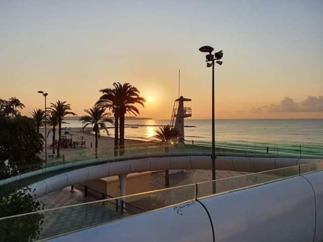 Estudio De Lujo Casaturis En El Corazon De Alicante A114 Exteriör bild